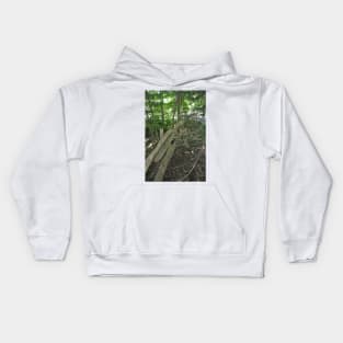 Farms and fields 4, Picket Fence Kids Hoodie